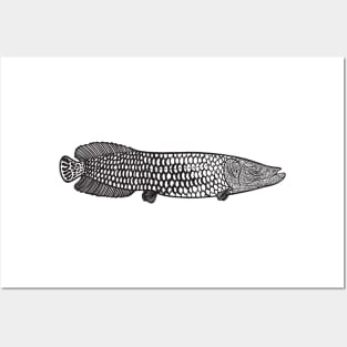 Arapaima Ink Art - light colors Posters and Art